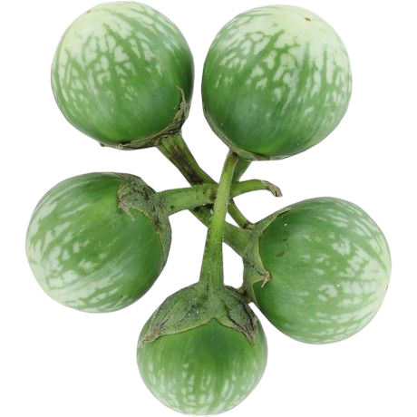 Green Eggplant Aubergine 1 Kilo