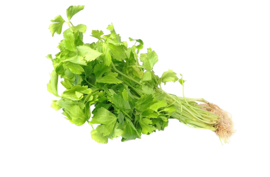 Thai's Celery 100g คึ่นฉ่ายไทย (1)