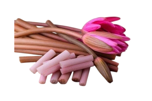 Stalk of lotus 100g สายบัว
