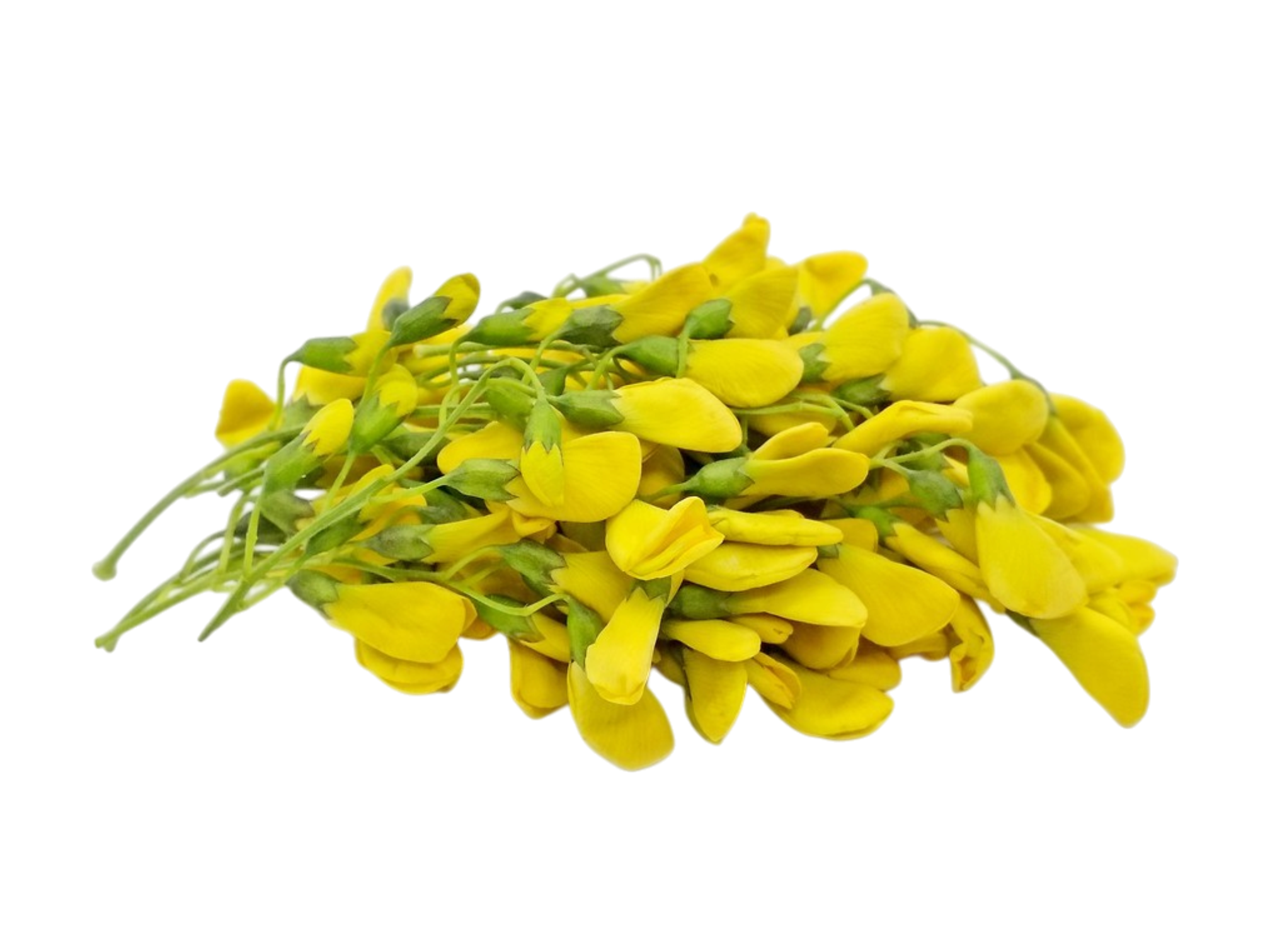 Sesbania Flower ดอกสโน 100g (1)