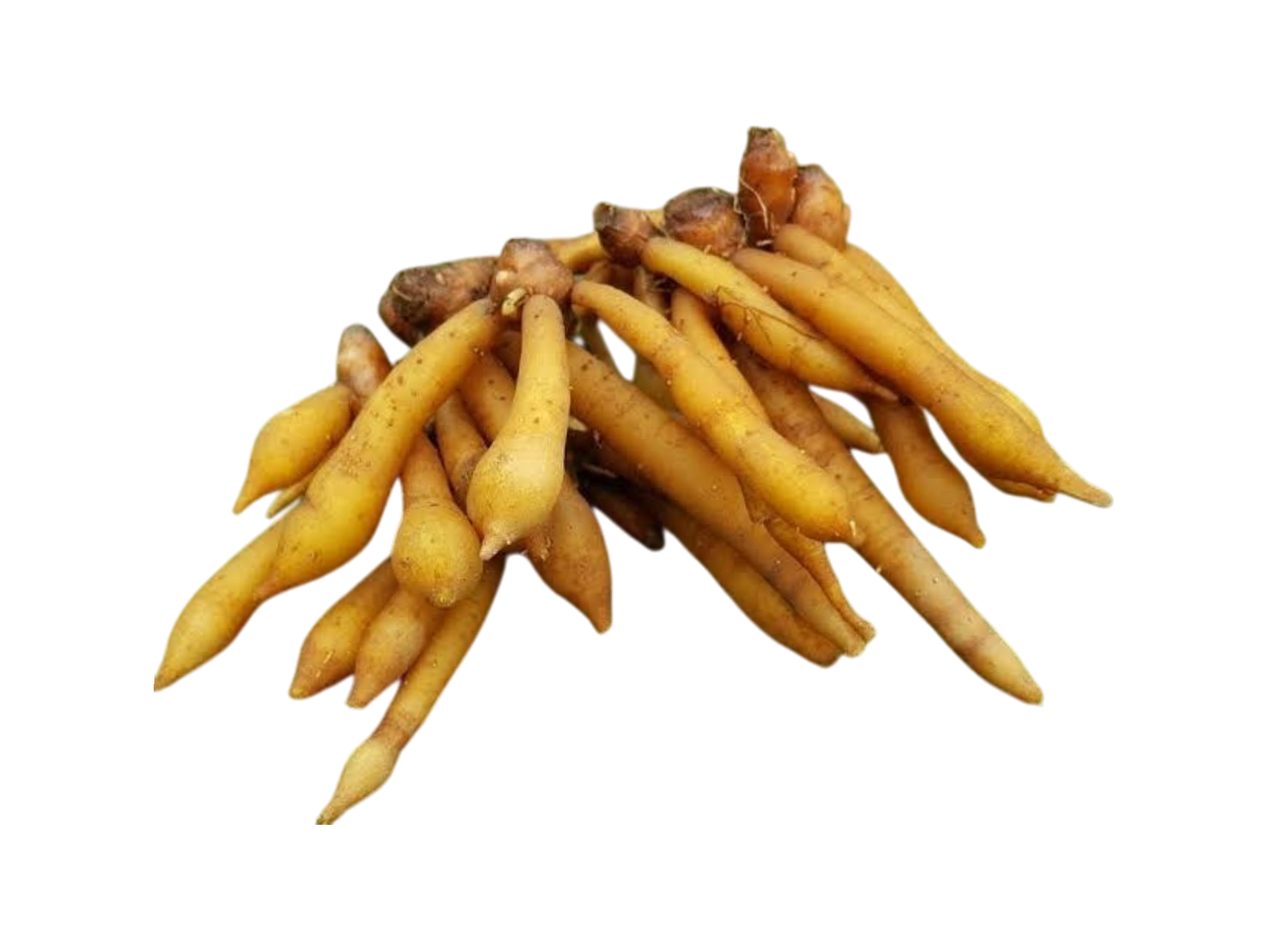 Fingerroot_Kra Chai 100g กระชาย