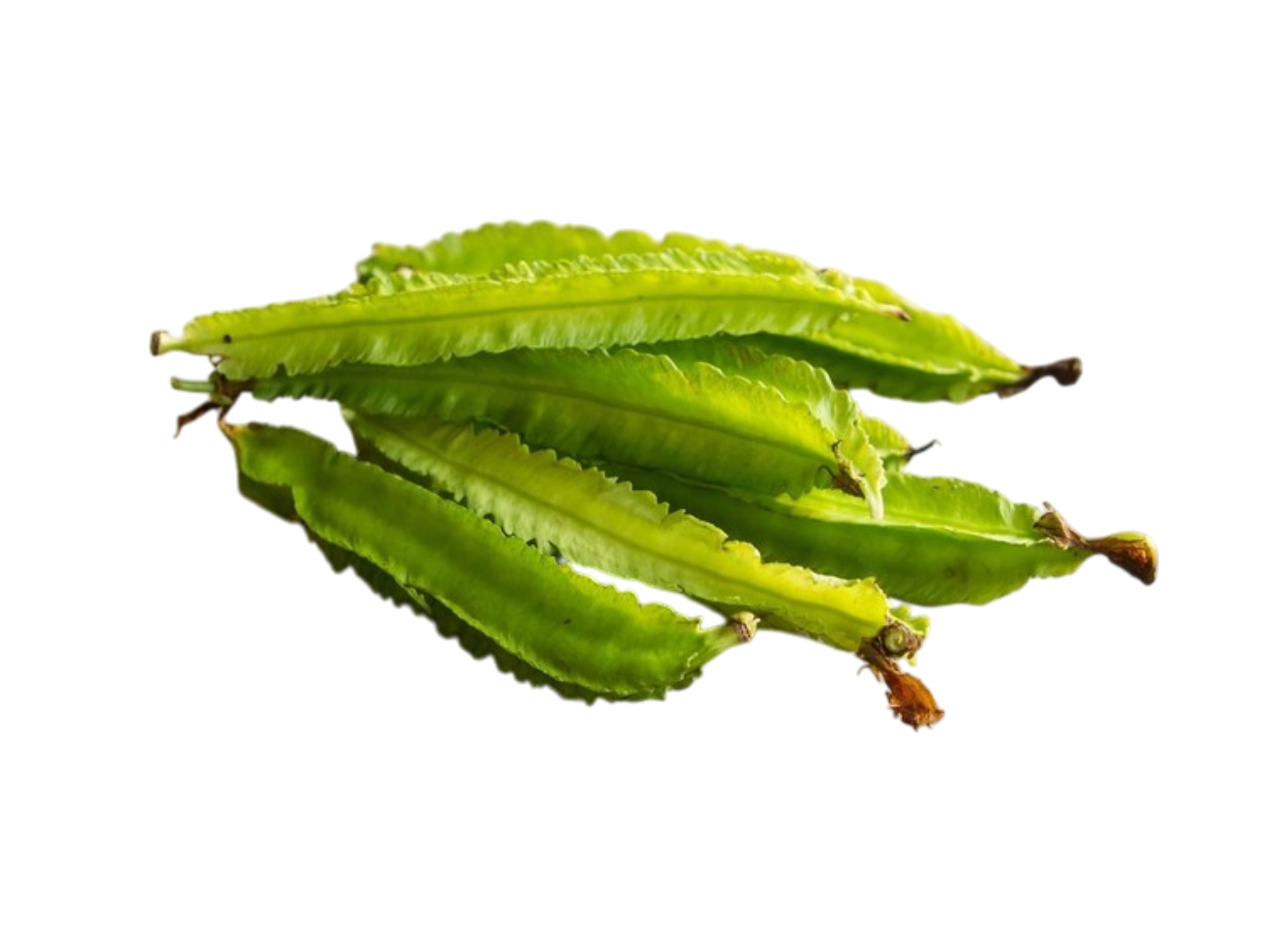 Wing bean ถั่วพลู 100g (1)