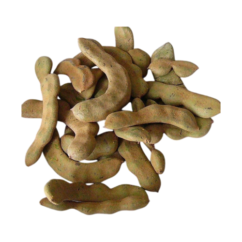 76426627-4fbd-4e11-80d3-e21a5da51871