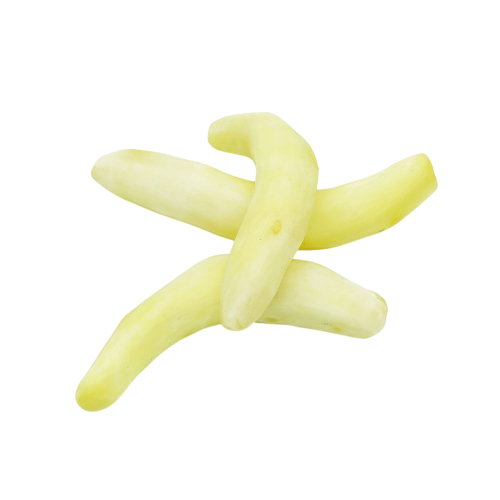 f1f72b8c-dc63-4925-aa42-be0e20e4ea50