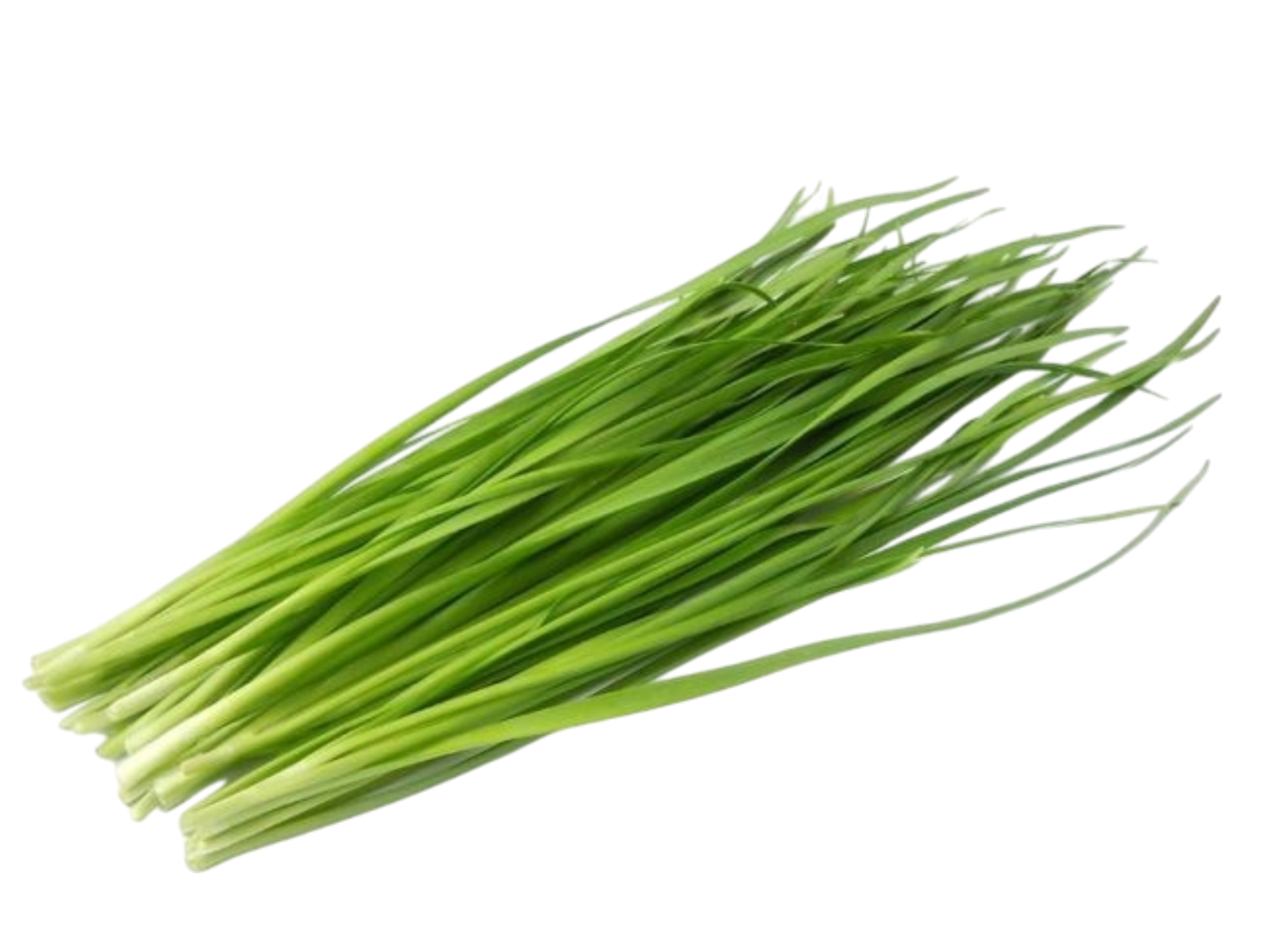 Chinese leek leaves 100g ใบกุ่ยช่าย
