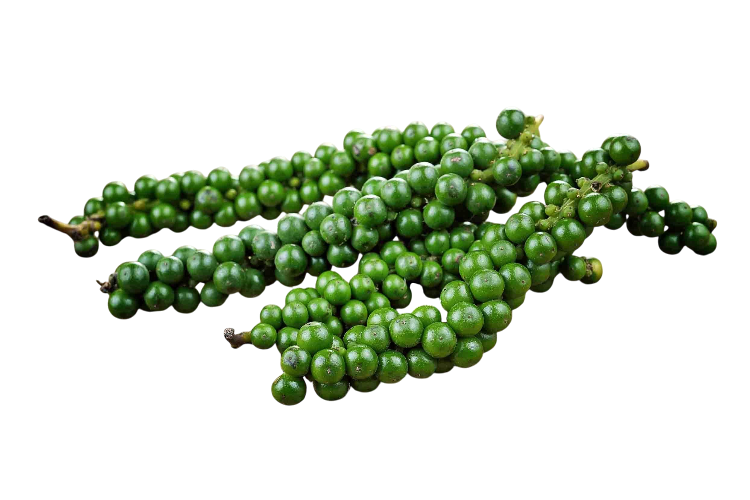 Young black pepper 100g (1)