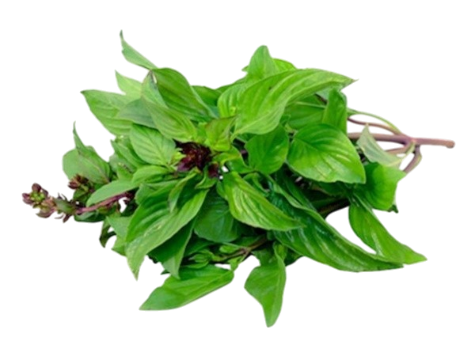 Sweet Thai basil 100g (2)