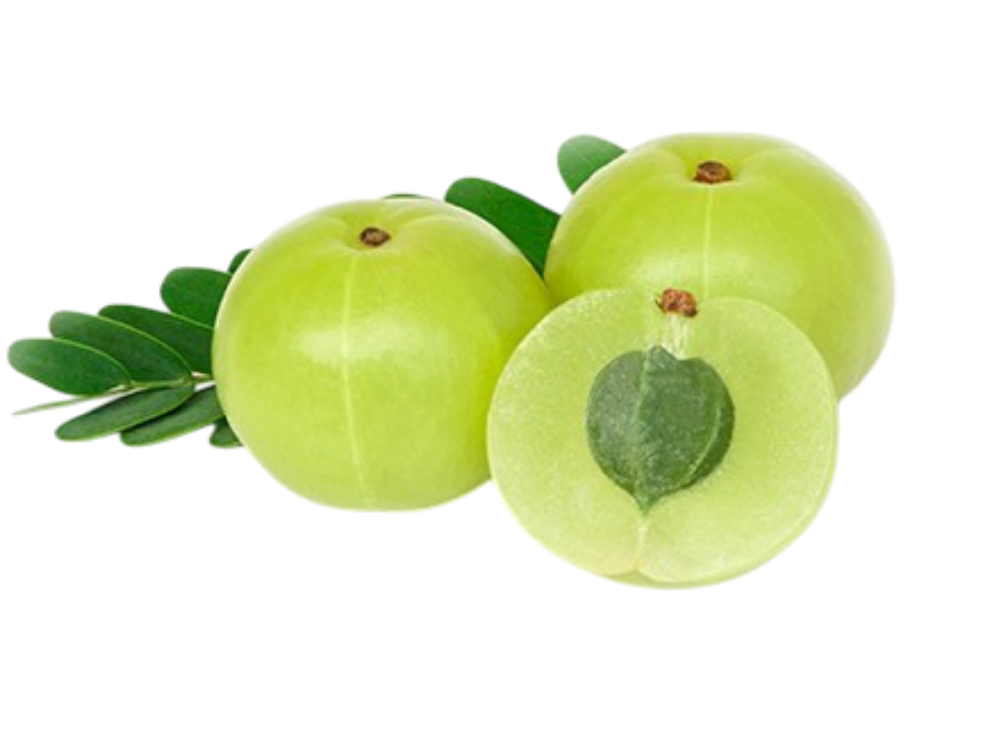 Amla_Indian gooseberry_มะขามป้อม 500g